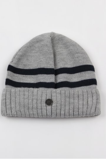 Hats LION 5050 GRE GREY