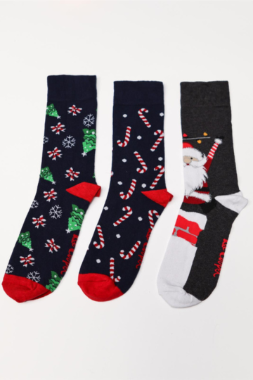 Socks ANKSOCKS 2501 GIFT1 MULTICOLOUR