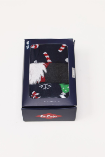 Socks ANKSOCKS 2501 GIFT1 MULTICOLOUR